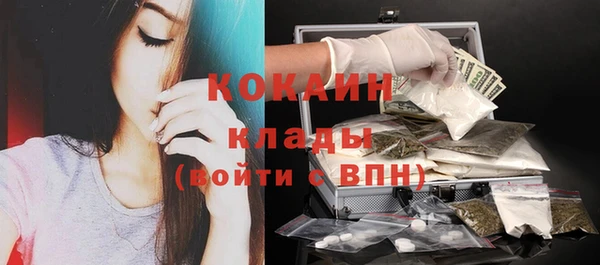 ПСИЛОЦИБИНОВЫЕ ГРИБЫ Инсар