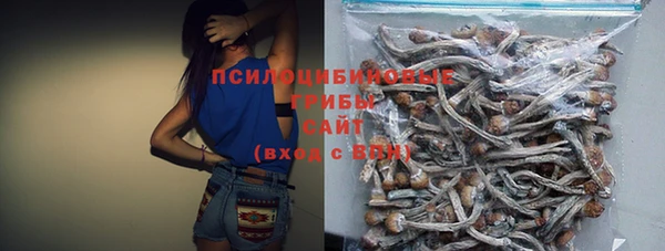 Альфа ПВП Инта