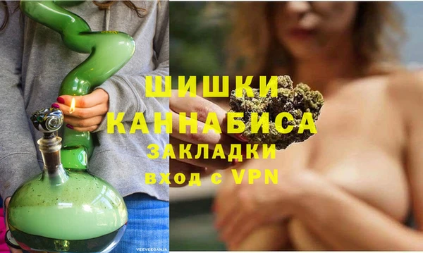 ПСИЛОЦИБИНОВЫЕ ГРИБЫ Инсар