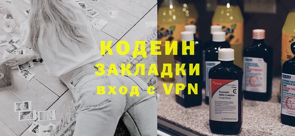 ПСИЛОЦИБИНОВЫЕ ГРИБЫ Инсар