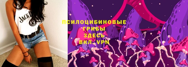 mdma Заводоуковск