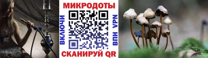 Галлюциногенные грибы GOLDEN TEACHER  Купить  Белоусово 
